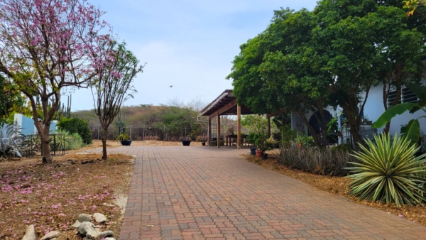 Charmante Kunuku Woning – #1511