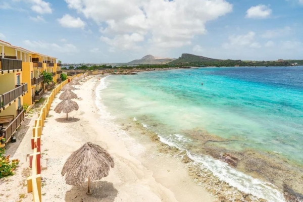 La Palapa 20