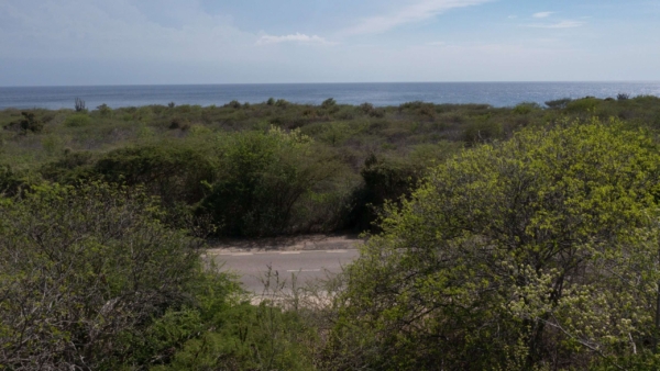 Coral Estate Plot 2004
