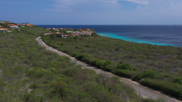 Coral Estate Plot 2004