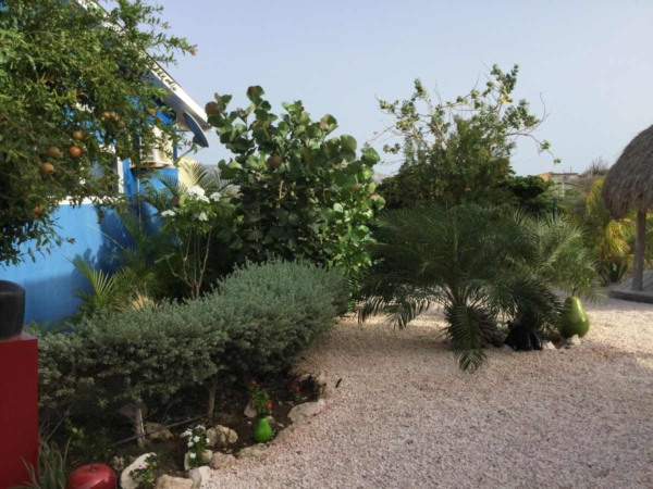 Huur Appartementen Porta Blancu 1 Slpk