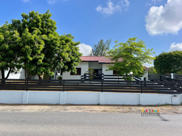 Cas Coraweg, Rooi Catootje, Curaçao