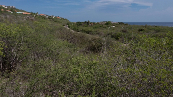 Coral Estate Plot 2010