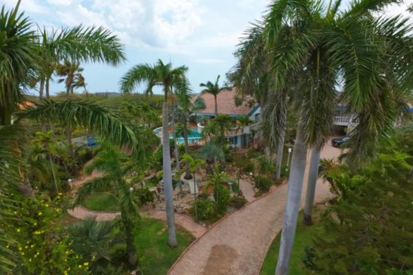 Exclusive dream villa in Aruba: tropical luxury and ultimate privacy on paradisiacal One Happy Island