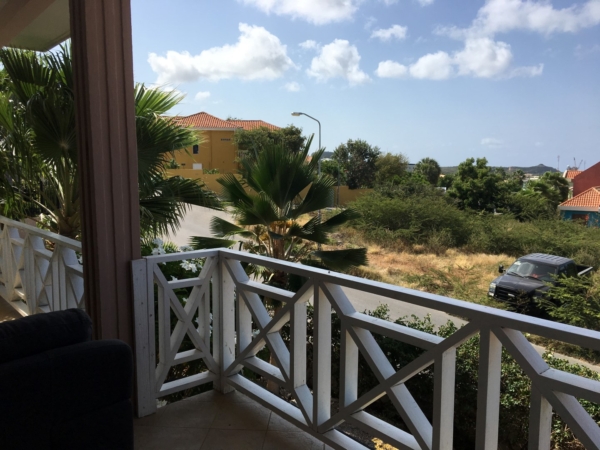 Mooie villa met zwembad Brakkeput