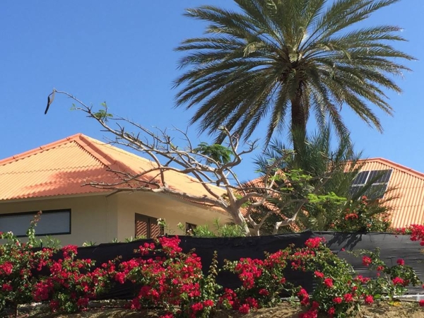 Sfeervolle koloniale villa Julianadorp