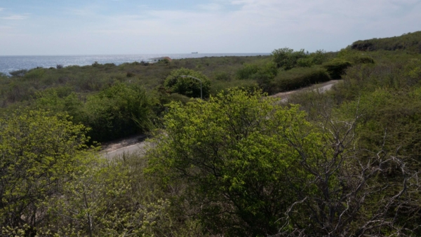 Coral Estate Plot 2005