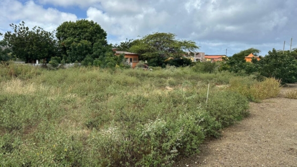 Kavel Kaya Caroni