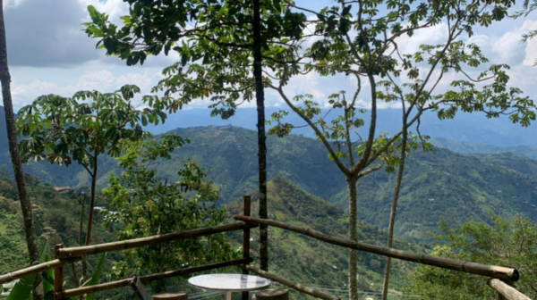 Finca For Sale - 45 Minutes from Medellín