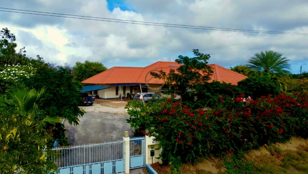 Luxury Tropical Villa with Private Pool on Spacious Corner Plot in Julianadorp!