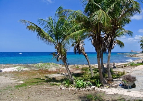 Spectacular plot 1000 m2 by the sea