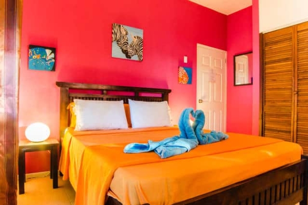 Colour room mini resort
